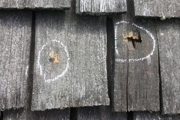 Cedar-Shake-Roof-Hail-Damage-Located-In-Barrington-Hills-Illinois