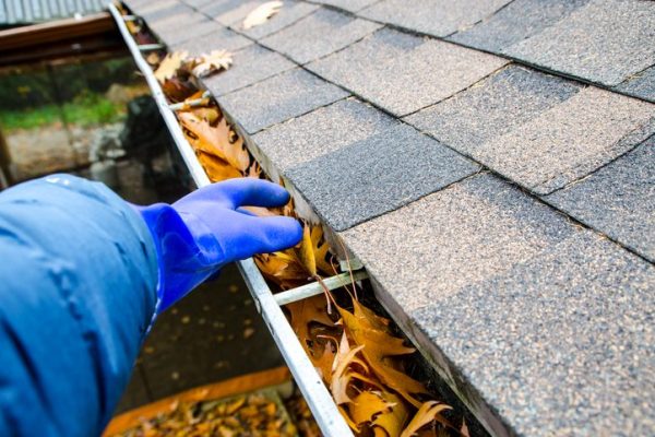 gutter-cleaning-services