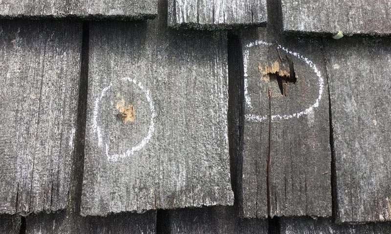 Cedar-Shake-Roof-Hail-Damage-Located-In-Barrington-Hills-Illinois Cedar-Shake-Roof-Hail-Damage-Located-In-Barrington-Hills-Illinois